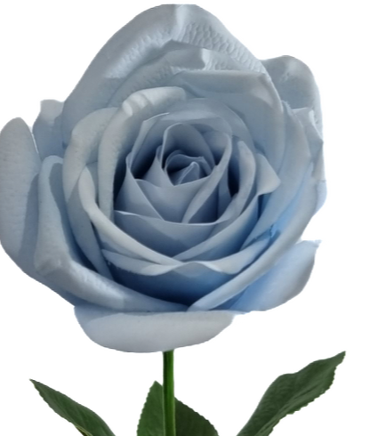 Real Touch Blue Open Rose