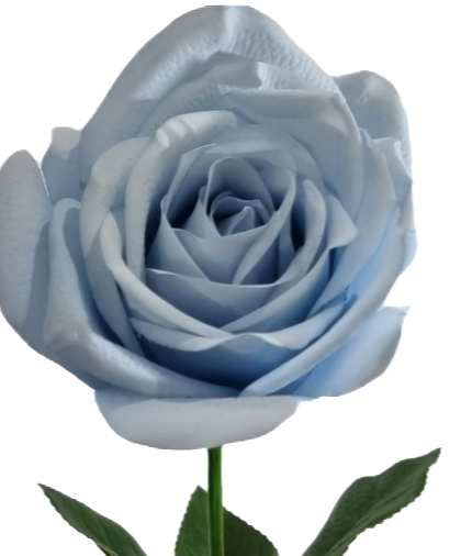 Real Touch Blue Open Rose