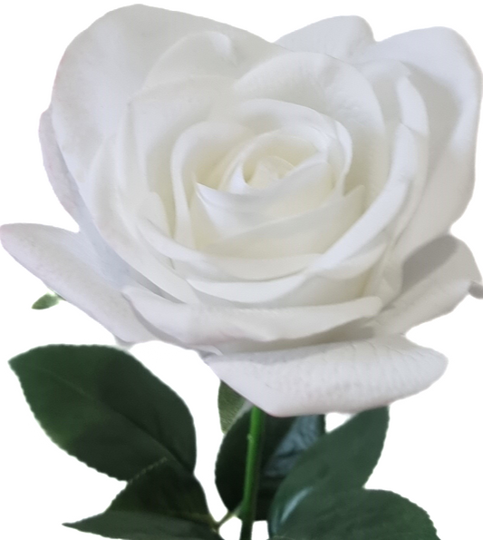 Real Touch White Open Rose