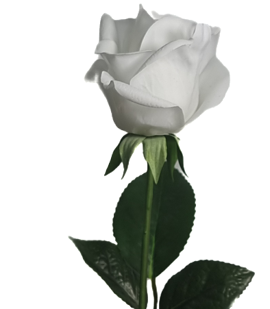 Real Touch White Rosebud