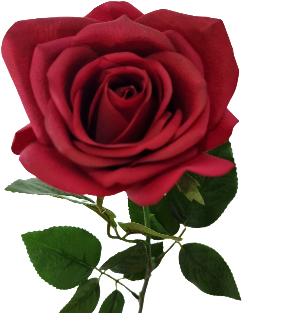 Real Touch Red Open Rose