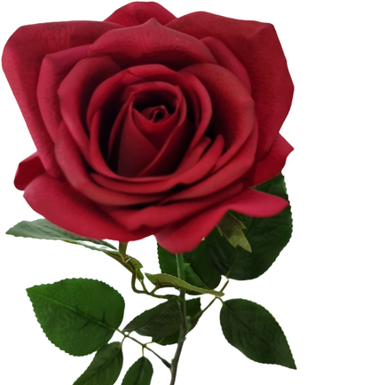 Real Touch Red Open Rose