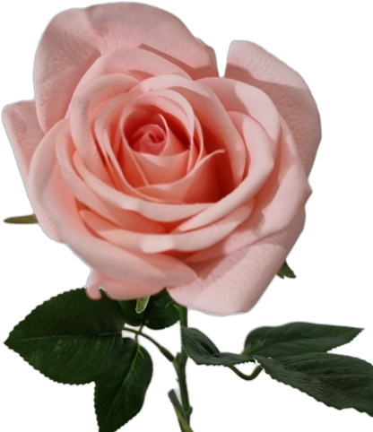 Real Touch Pink Open Rose (Wholesale)