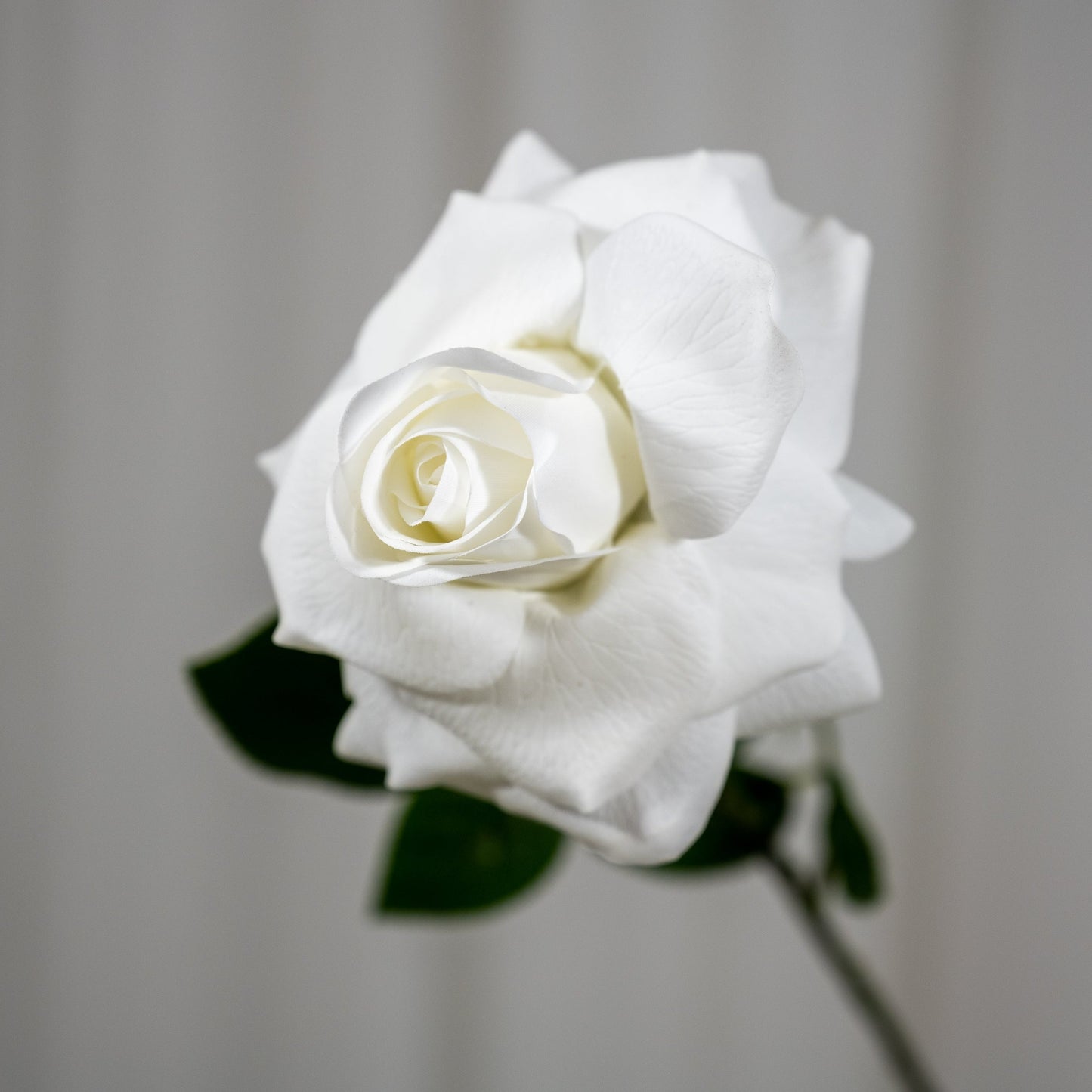 Real Touch White Open Rose